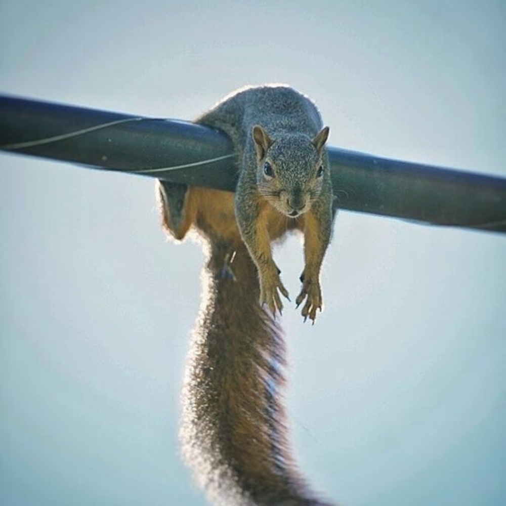 Meet your Posher, Andrew